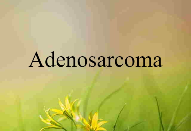 adenosarcoma