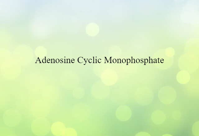 adenosine cyclic monophosphate