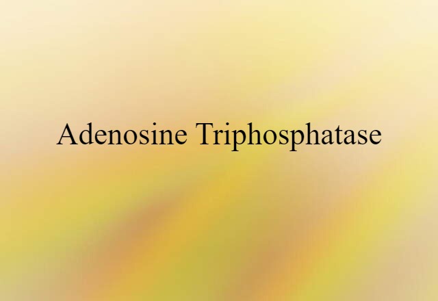 Adenosine Triphosphatase (noun) Definition, Meaning & Examples