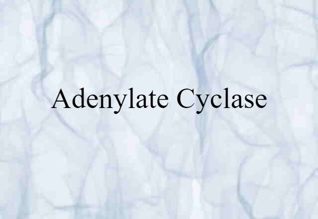 adenylate cyclase