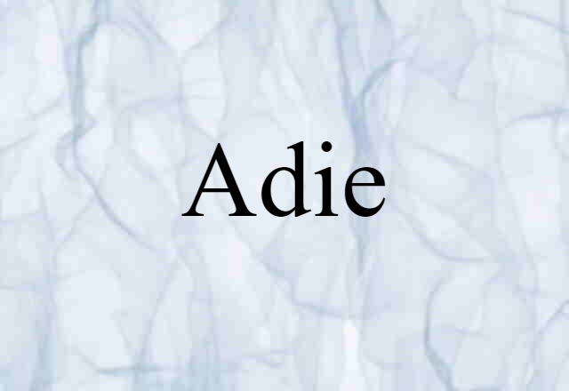 Adie (noun) Definition, Meaning & Examples