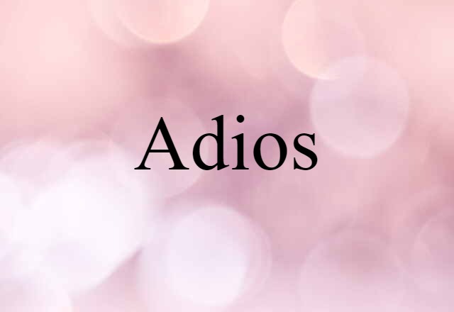 Adios (noun) Definition, Meaning & Examples