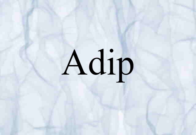 Adip (noun) Definition, Meaning & Examples