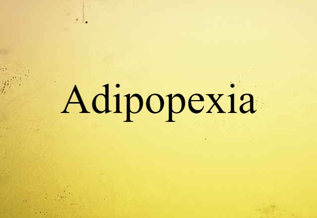 Adipopexia (noun) Definition, Meaning & Examples