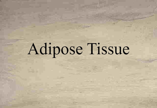 adipose tissue