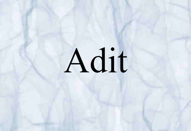 Adit (noun) Definition, Meaning & Examples