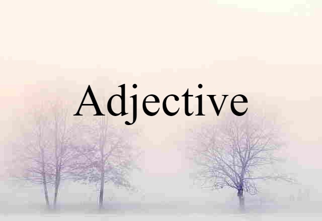 Adjective (noun) Definition, Meaning & Examples