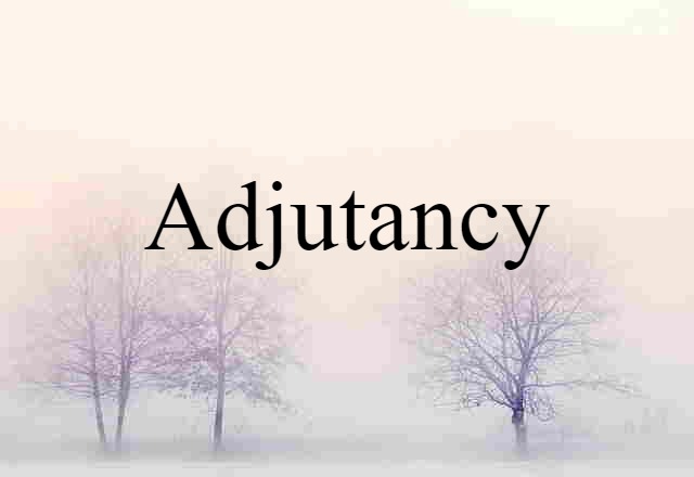 Adjutancy (noun) Definition, Meaning & Examples