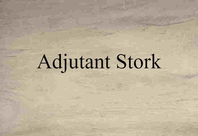 adjutant stork