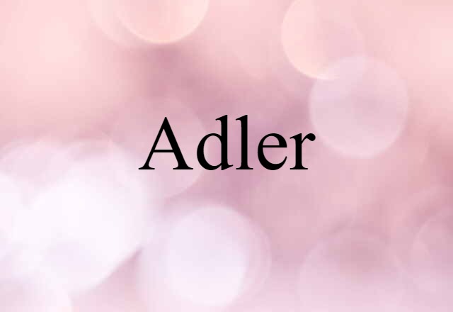 Adler (noun) Definition, Meaning & Examples