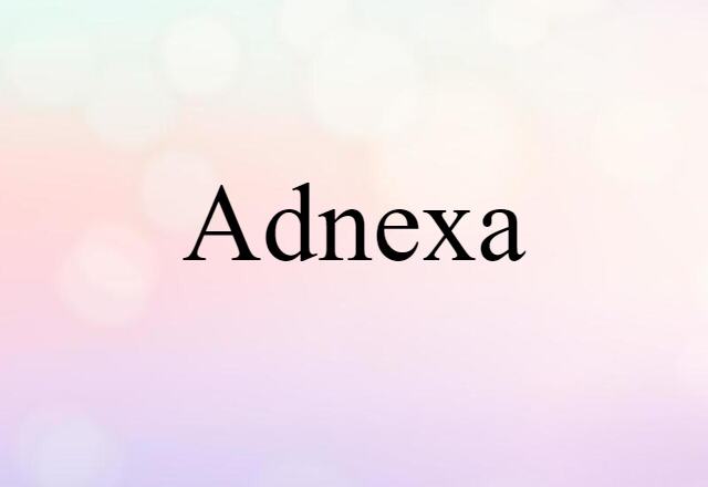 adnexa