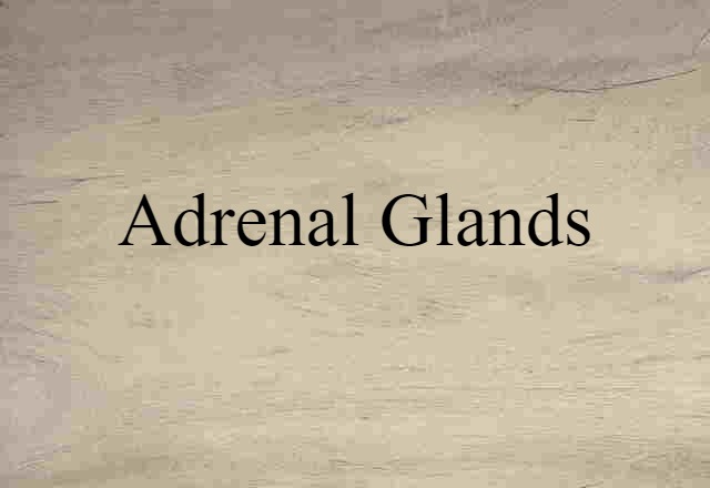 Adrenal Glands (noun) Definition, Meaning & Examples