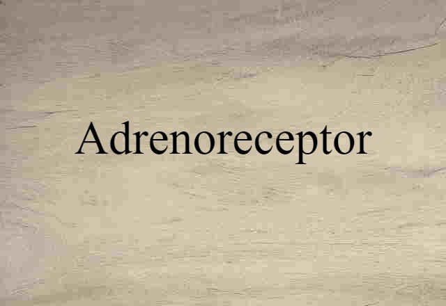 Adrenoreceptor (noun) Definition, Meaning & Examples