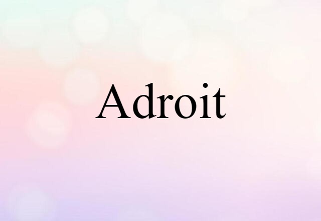 Adroit (noun) Definition, Meaning & Examples