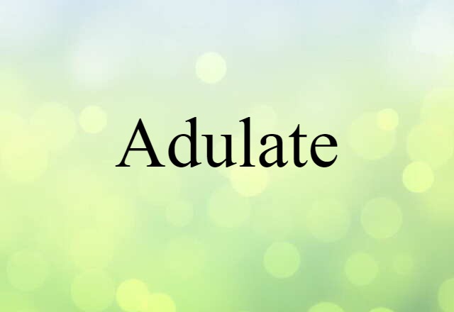 adulate