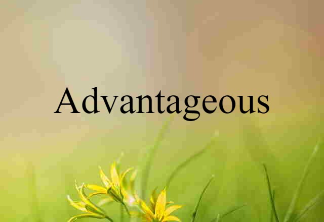 Advantageous (noun) Definition, Meaning & Examples