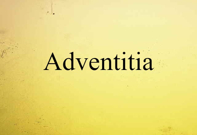 Adventitia (noun) Definition, Meaning & Examples