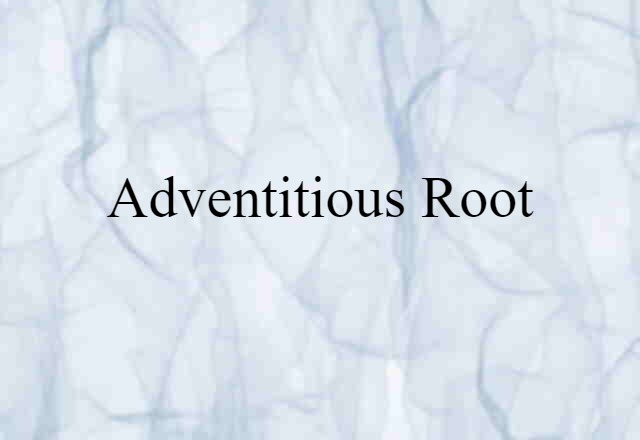 Adventitious Root (noun) Definition, Meaning & Examples