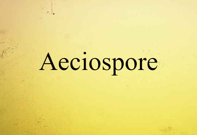 aeciospore