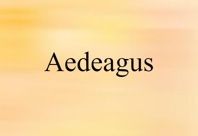 Aedeagus (noun) Definition, Meaning & Examples