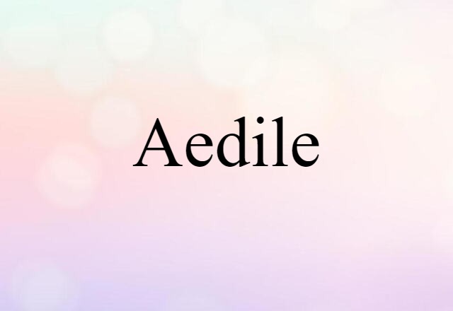 aedile