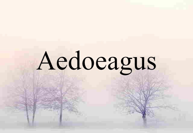 Aedoeagus (noun) Definition, Meaning & Examples