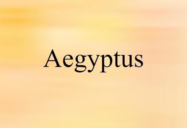 Aegyptus (noun) Definition, Meaning & Examples