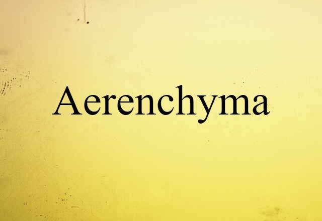 aerenchyma