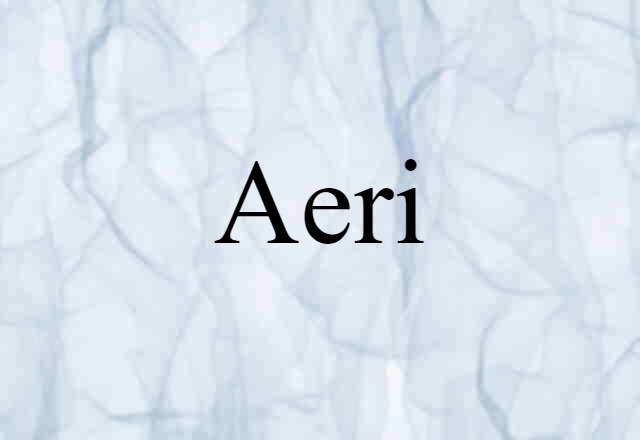 Aeri (noun) Definition, Meaning & Examples