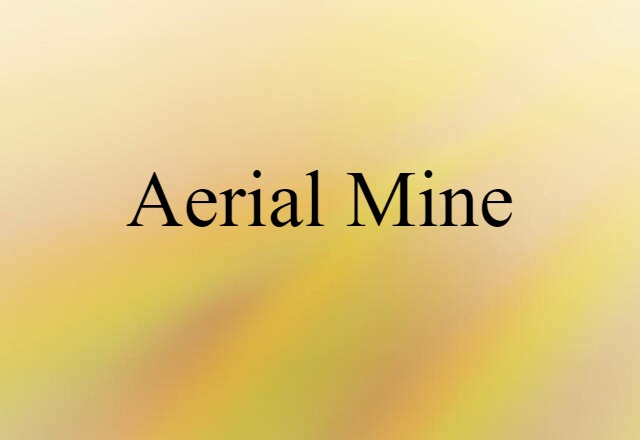 Aerial Mine (noun) Definition, Meaning & Examples