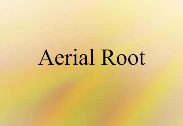 Aerial Root (noun) Definition, Meaning & Examples