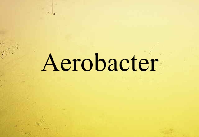 Aerobacter (noun) Definition, Meaning & Examples