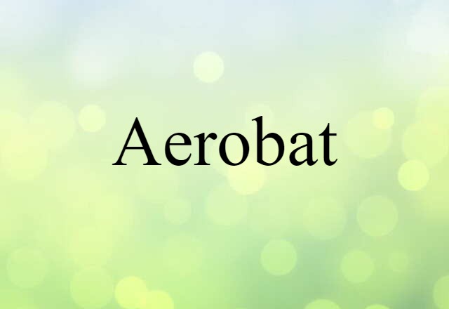 Aerobat (noun) Definition, Meaning & Examples