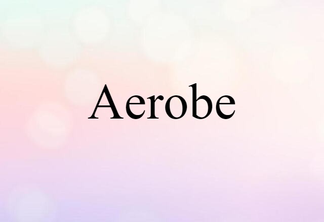 aerobe