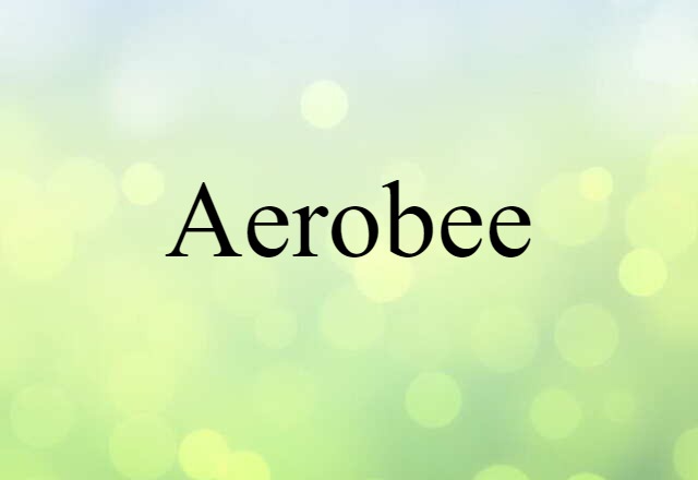 Aerobee