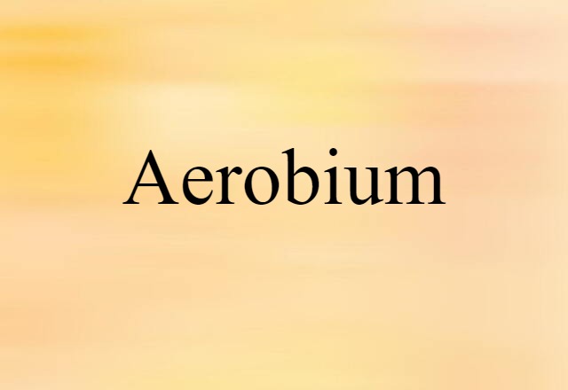 Aerobium (noun) Definition, Meaning & Examples