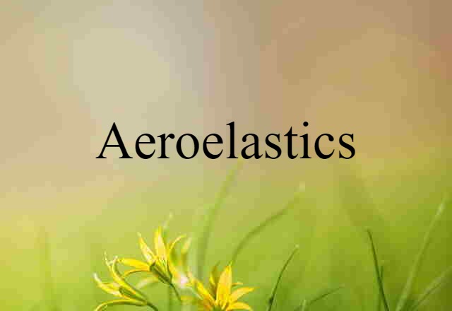 Aeroelastics (noun) Definition, Meaning & Examples