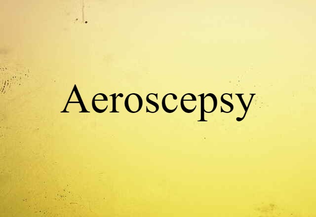 Aeroscepsy (noun) Definition, Meaning & Examples