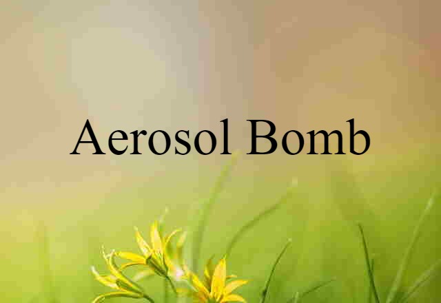 aerosol bomb