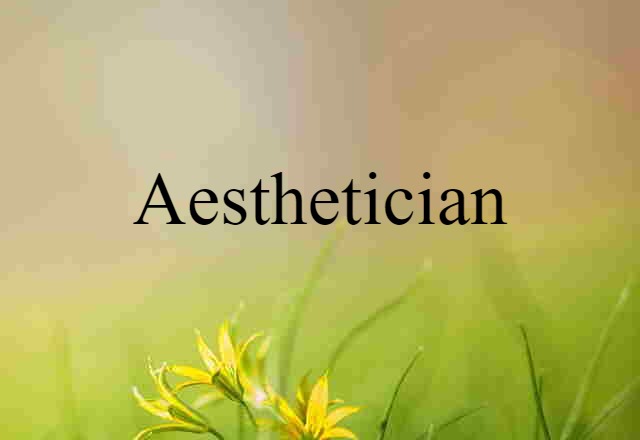 Aesthetician (noun) Definition, Meaning & Examples