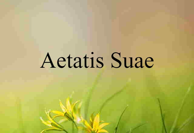 aetatis suae