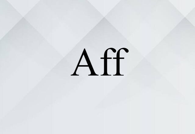 Aff (noun) Definition, Meaning & Examples