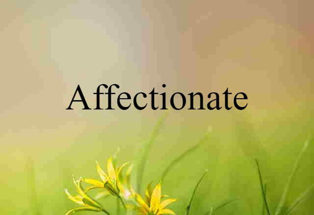 Affectionate (noun) Definition, Meaning & Examples