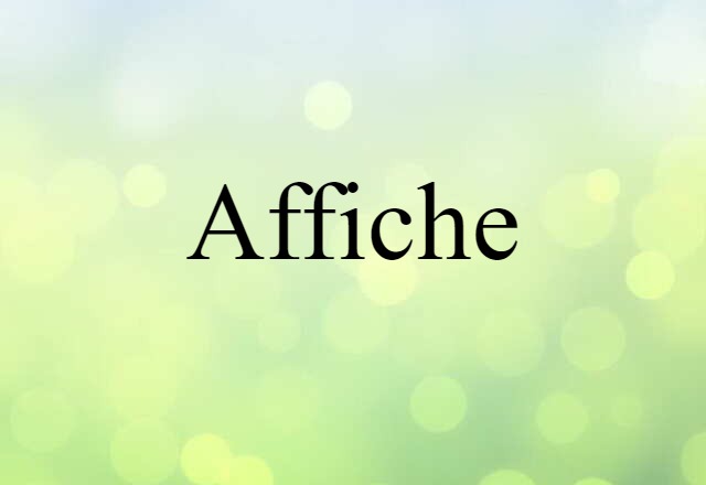 Affiche (noun) Definition, Meaning & Examples