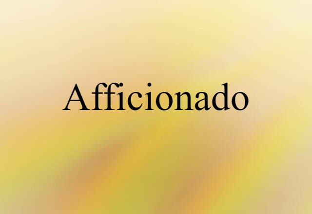 Afficionado (noun) Definition, Meaning & Examples