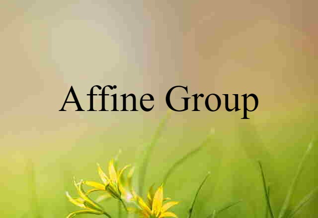 Affine Group (noun) Definition, Meaning & Examples