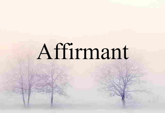 Affirmant (noun) Definition, Meaning & Examples