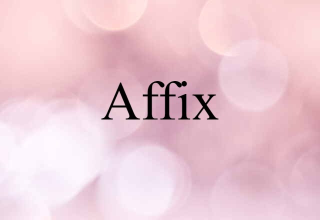 Affix (noun) Definition, Meaning & Examples