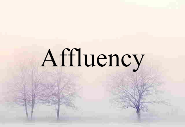 Affluency (noun) Definition, Meaning & Examples