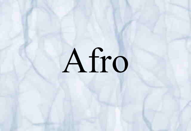 Afro (noun) Definition, Meaning & Examples